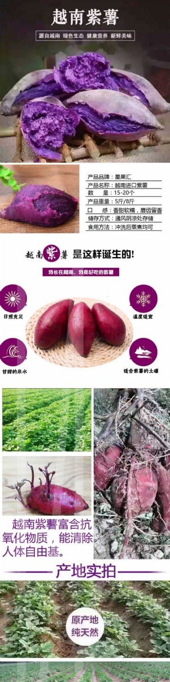 越南紫薯淘宝详情页