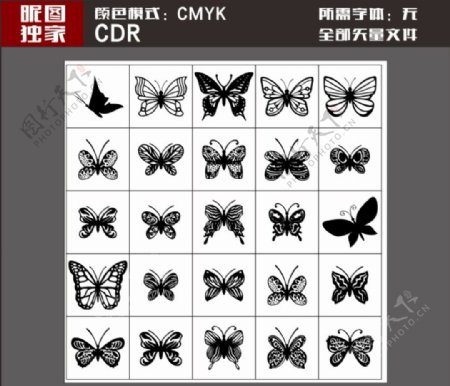 矢量蝴蝶昆虫标志标识小插画