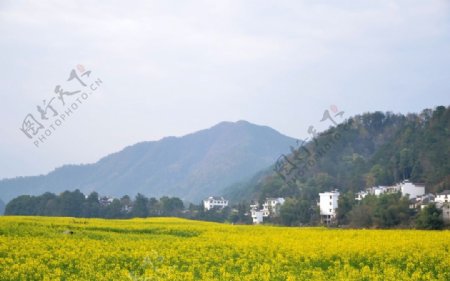 石潭村风光