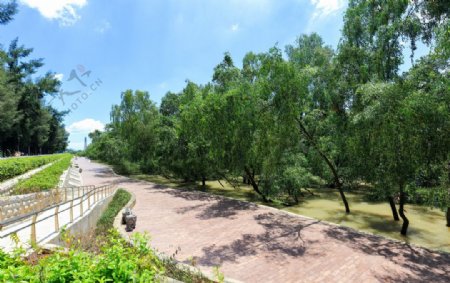 深圳西湾红树林公园二期