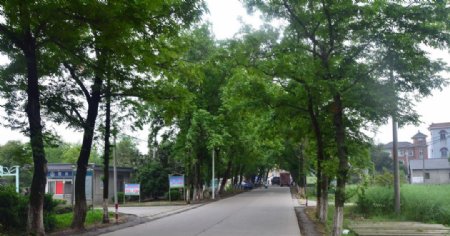 肖王村