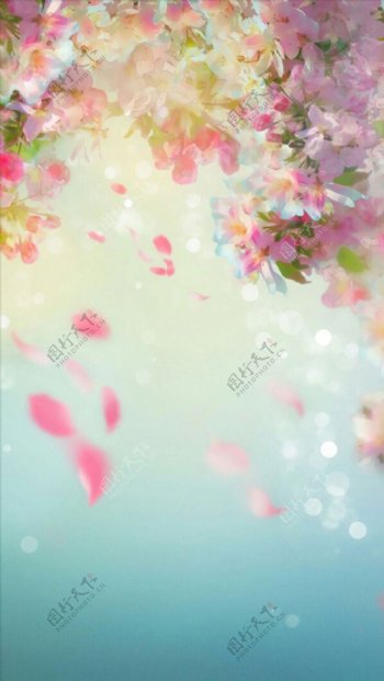 梦幻彩色花朵H5背景素材
