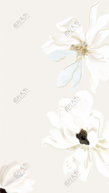 手绘白色花朵H5背景素材