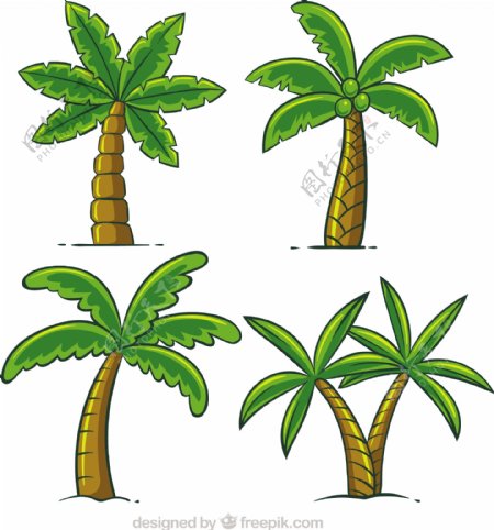 一套手绘棕榈树