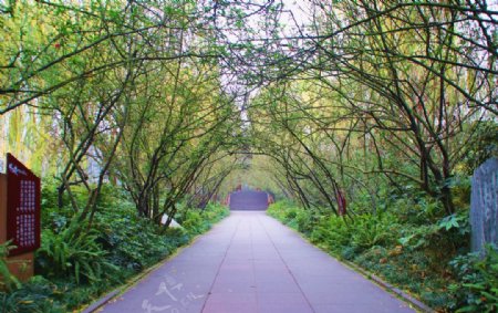 棠湖公园绿色通道