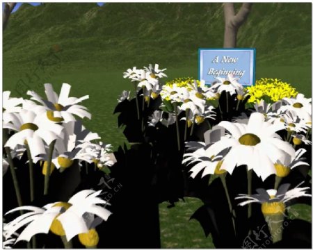 花朵婚礼片头视频背景素材