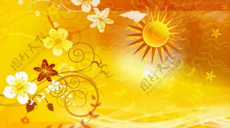 温暖金色太阳和花纹装饰动态背景