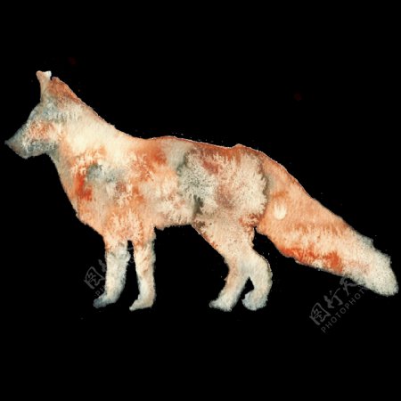 狼狗水彩透明装饰图案