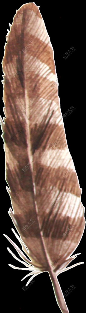 条纹羽毛透明装饰图案