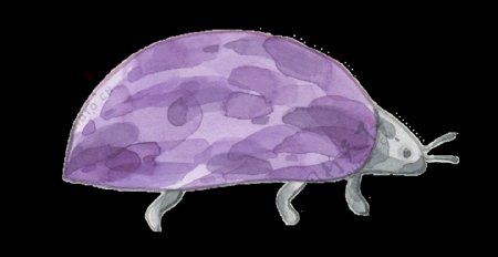 手绘紫色昆虫透明装饰图案