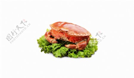 海鲜食物帝王蟹螃蟹蟹黄蔬菜美味搭配餐饮