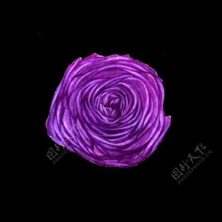 紫色花朵透明装饰图案
