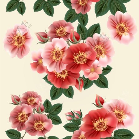 粉红色手绘花朵矢量素材