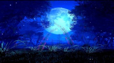 蓝色梦幻神秘夜晚视频素材