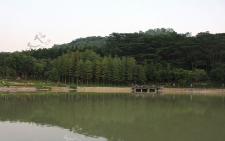 莲花山公园
