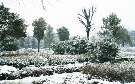 大明湖花园雪景