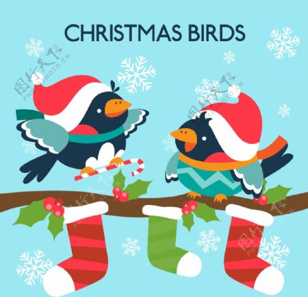 圣诞可爱的鸟卡片