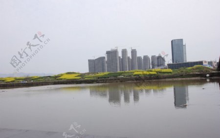 义乌体育馆新城区