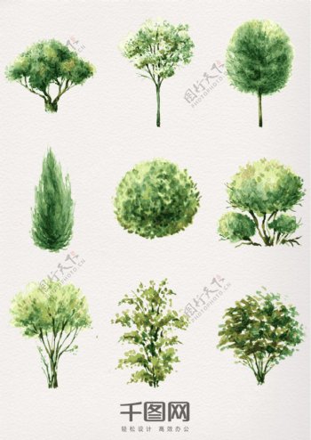 绿色水彩植物树木素材