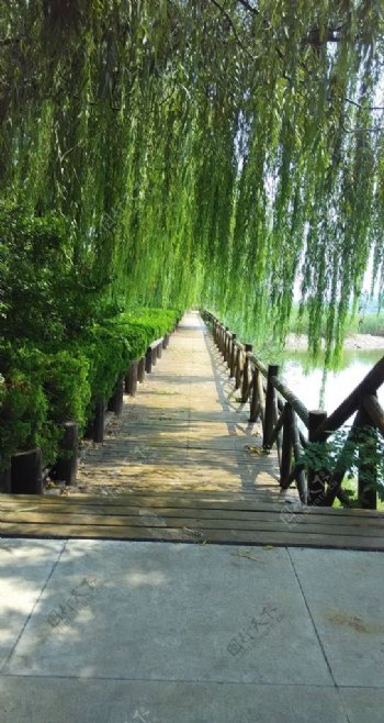绿柳栈桥