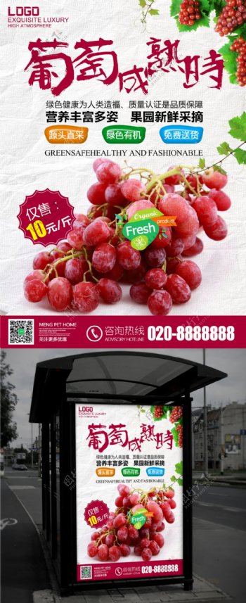 秋季水果果实新疆葡萄青果店促销海报