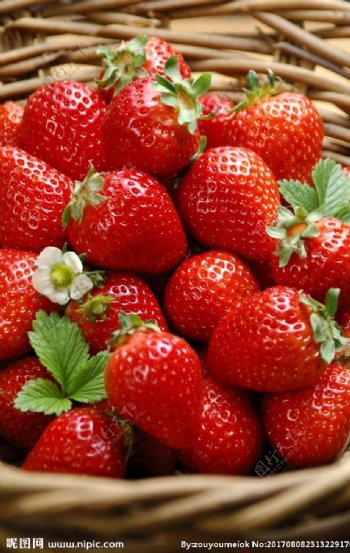 新鲜草莓高清图片红色成熟草莓
