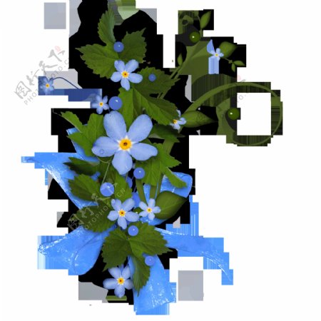 丝带捆扎的蓝色花朵png元素素材