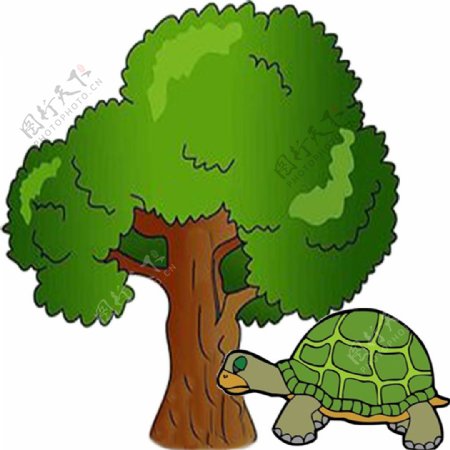 大树和乌龟