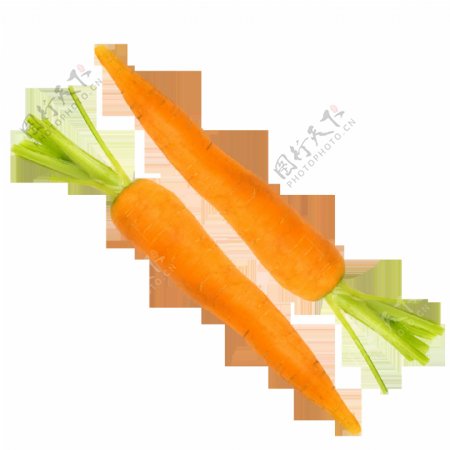 胡萝卜透明蔬菜