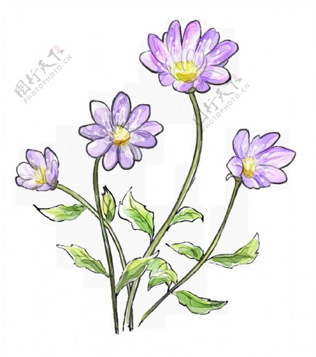 手绘紫色花朵花枝png元素素材
