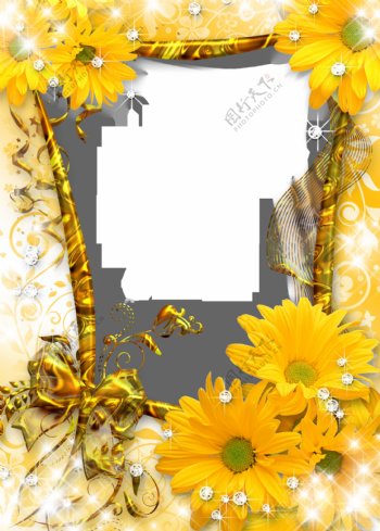 黄色菊花PNG相框素材
