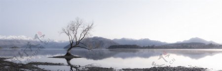 冬季雪景湖边树淘宝banner背景