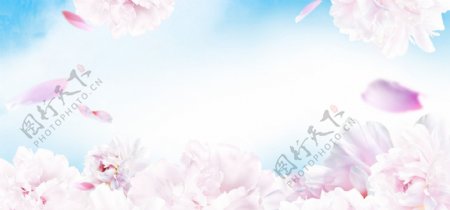 梦幻粉色花朵banner背景素材