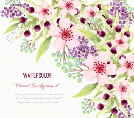 水彩绘美丽花卉设计矢量素材