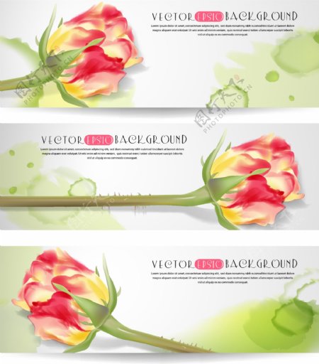 花朵花卉设计海报设计矢量素材