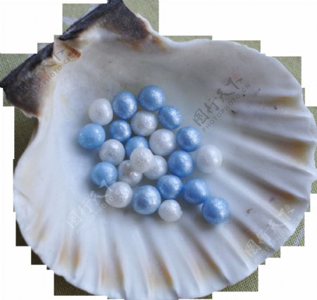 蓝色珍珠贝壳免抠png透明图层素材