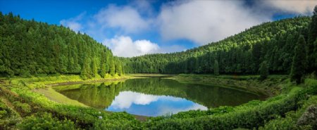 葡萄牙森林湖泊灌木风景