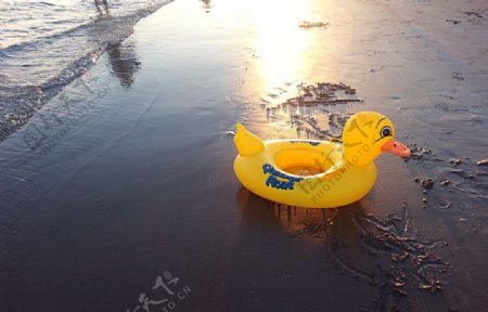 海边小黄鸭