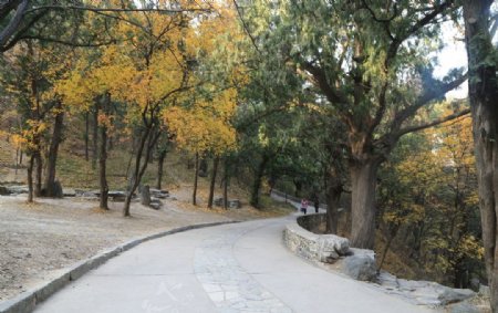 香山秋景