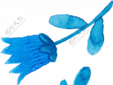 蓝色花瓣卡通透明素材