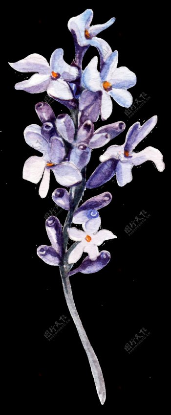 紫白花束卡通透明素材