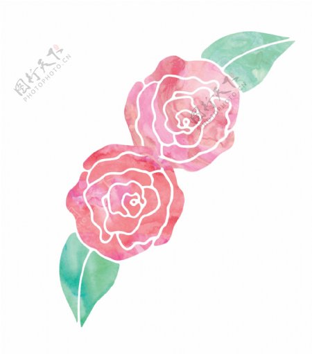 二朵粉色花卉卡通水彩透明素材