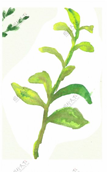 嫩绿新鲜植物卡通水彩透明素材