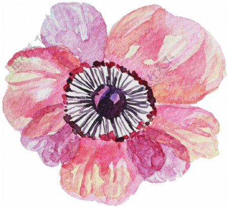 粉色文艺花卉卡通水彩透明素材