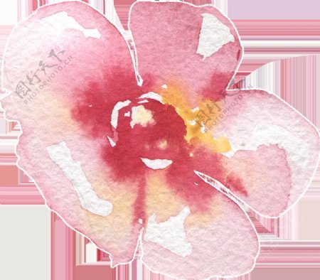 可爱粉色花卉卡通水彩透明素材
