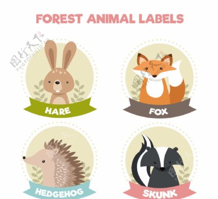 4款可爱动物标签矢量素材