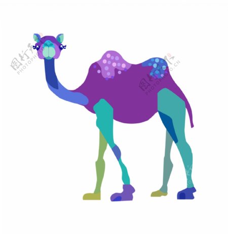 彩色骆驼图案