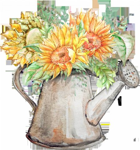 向日葵花卉卡通透明素材