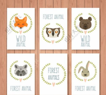森林动物头像卡片