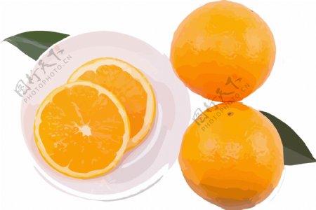 插画手绘橙色橙子水果